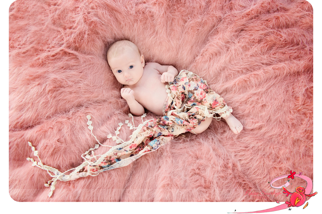 Rose bebe studio