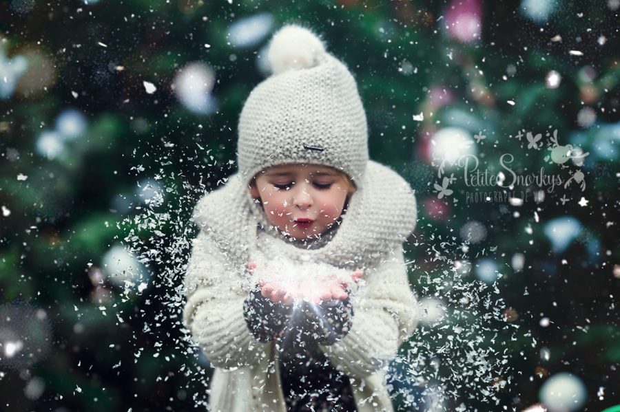 Séance Shooting de Noël - Petite Snorkys Photography